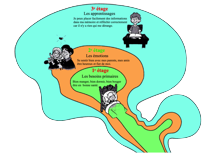 Les 3 cerveaux