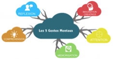 gestion mentale